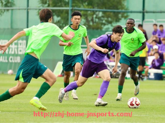 江南综合体育-法甲各大比赛场地条件评估及主场影响力